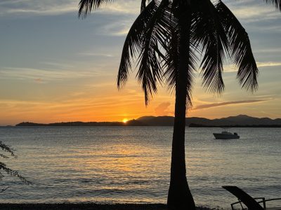 Golden sunset over the water with a palm tree and anchored boat