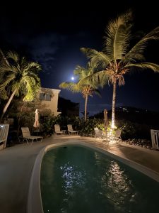 Coconut Coast Villas pool and palm trees at night