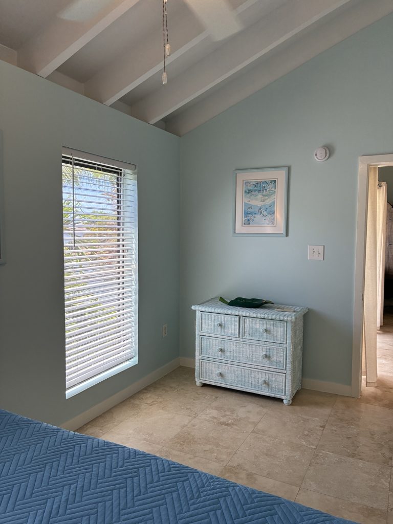 Bird of Paradise bedroom dresser and window