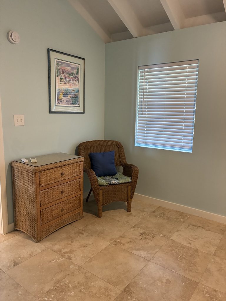 Bird of Paradise bedroom seating area