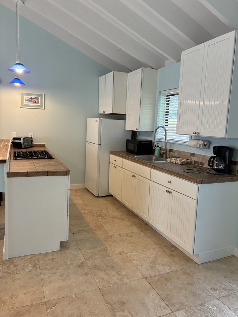 Bird of Paradise kitchen with stove and refrigerator