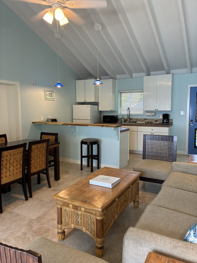 Bird of Paradise living area and kitchen