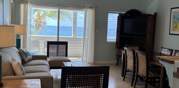 Bird of Paradise living room with ocean view