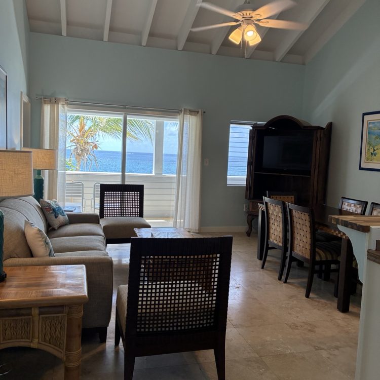 Bird of Paradise living room with ocean view