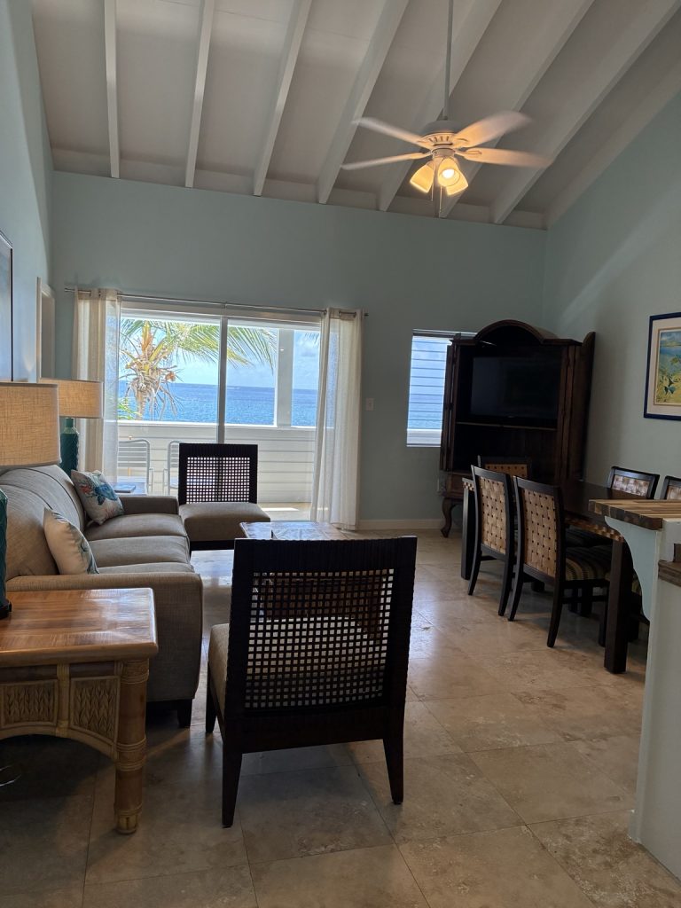 Bird of Paradise living room with ocean view