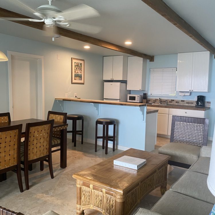 Hibiscus open-plan kitchen and living area